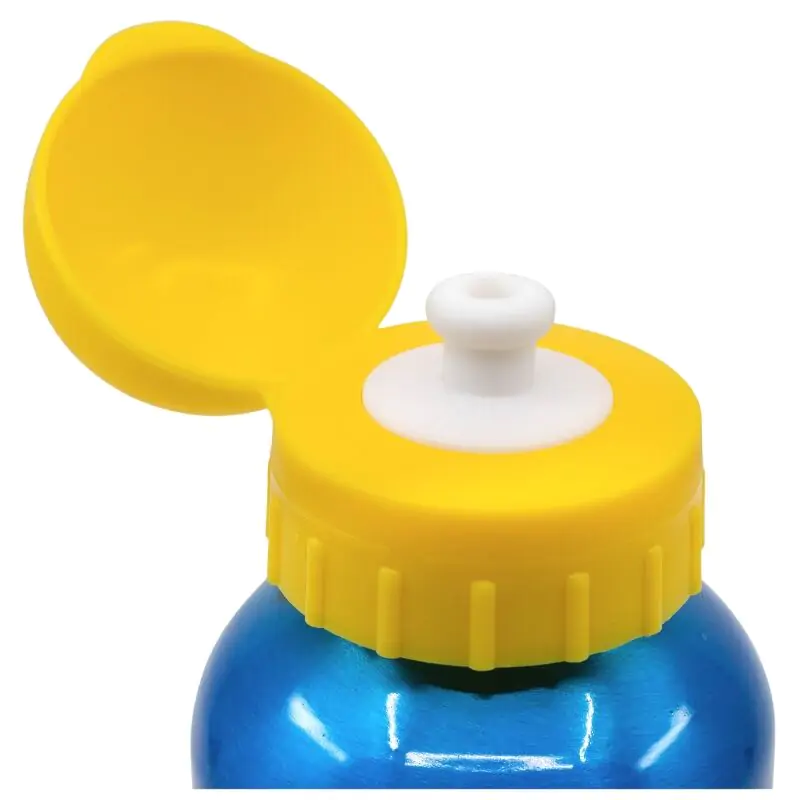 Paw Patrol Pup Power Aluminiumflasche 400ml Produktfoto