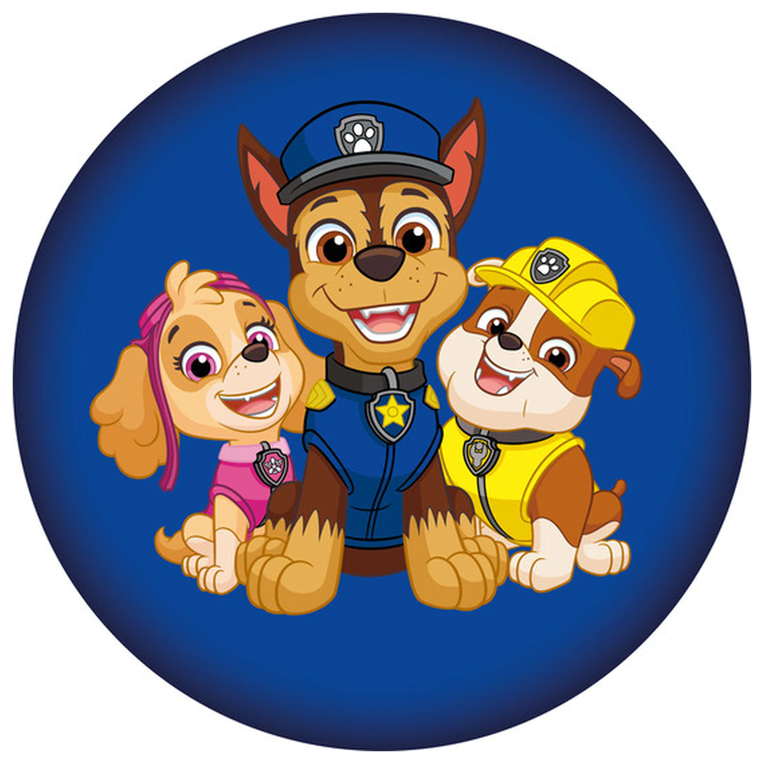 Paw Patrol Squad Förmiges Kissen Produktfoto