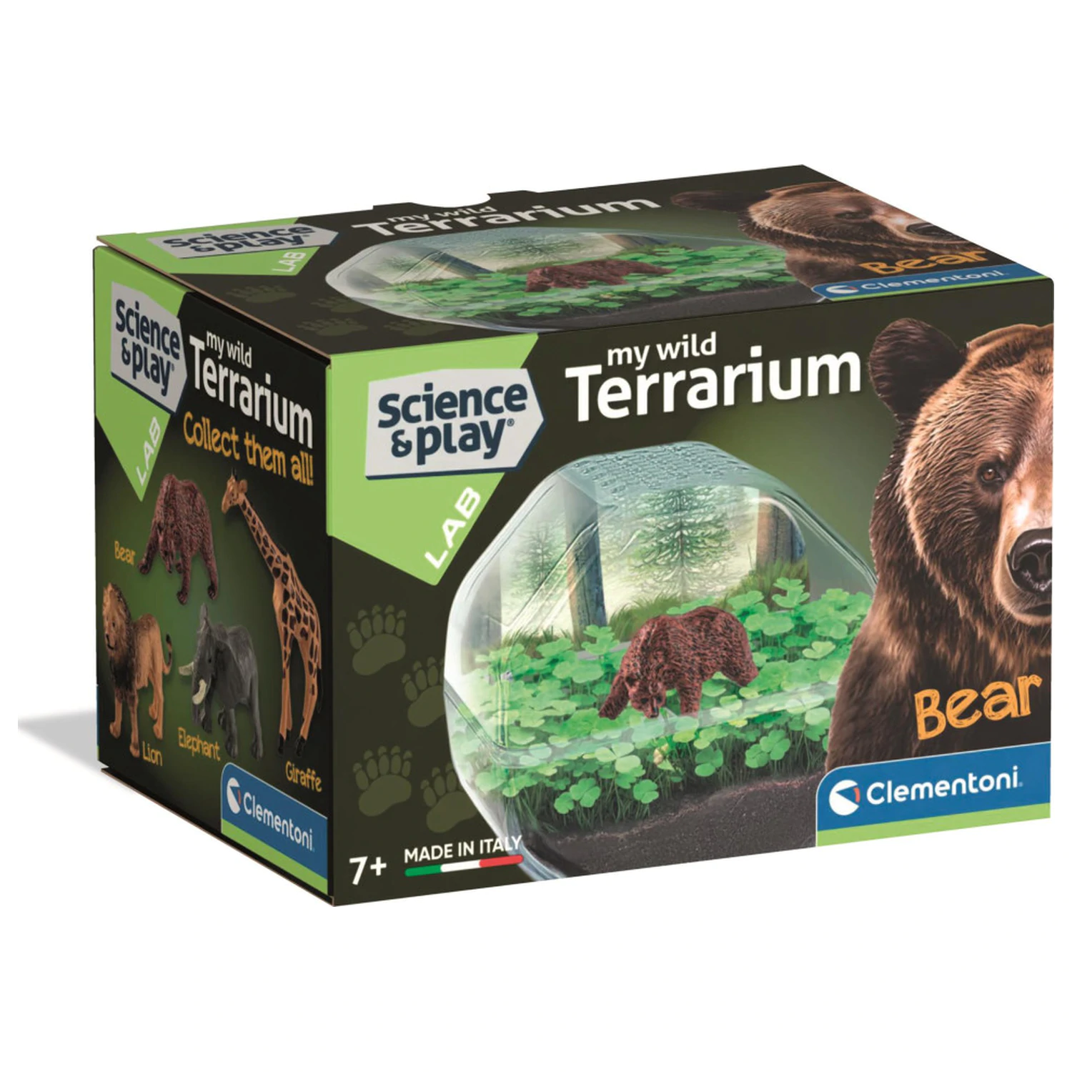 Mini Bear Terrarium Produktfoto