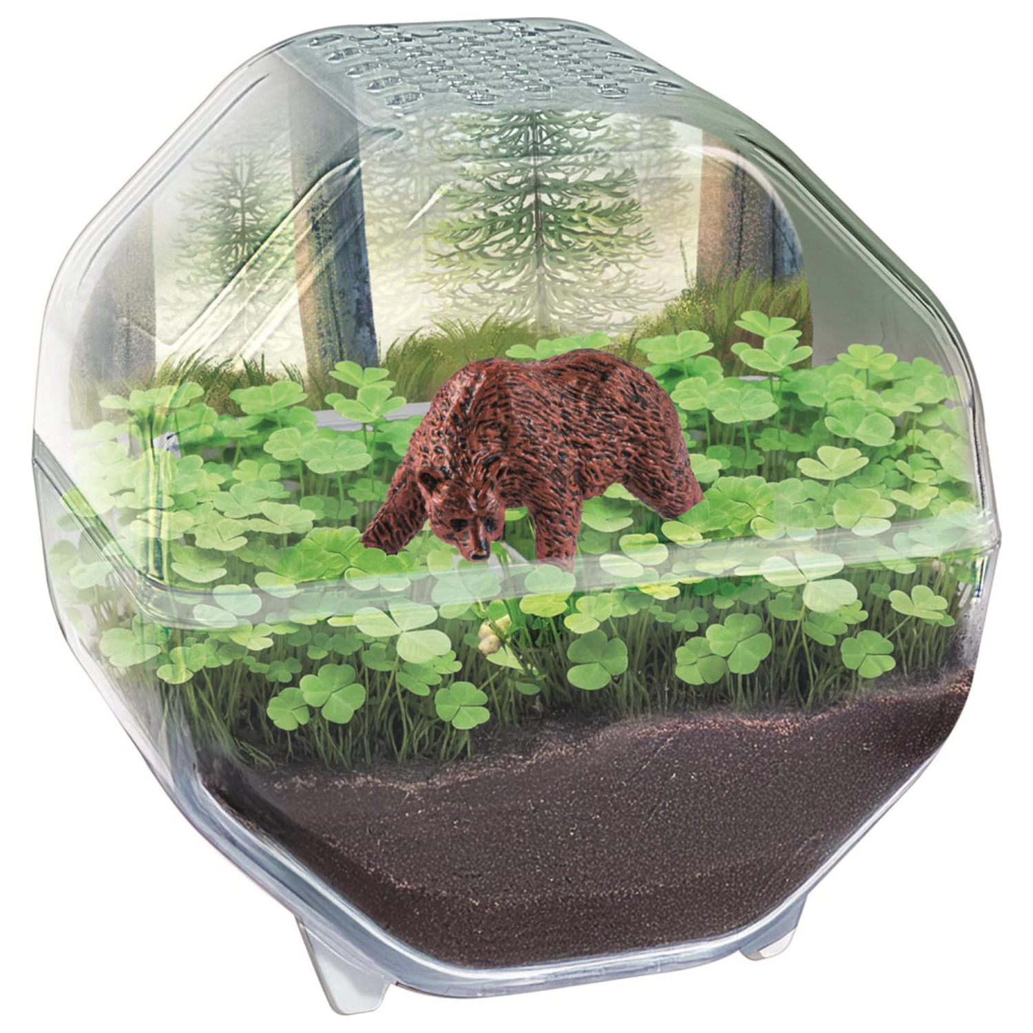 Mini Bear Terrarium Produktfoto