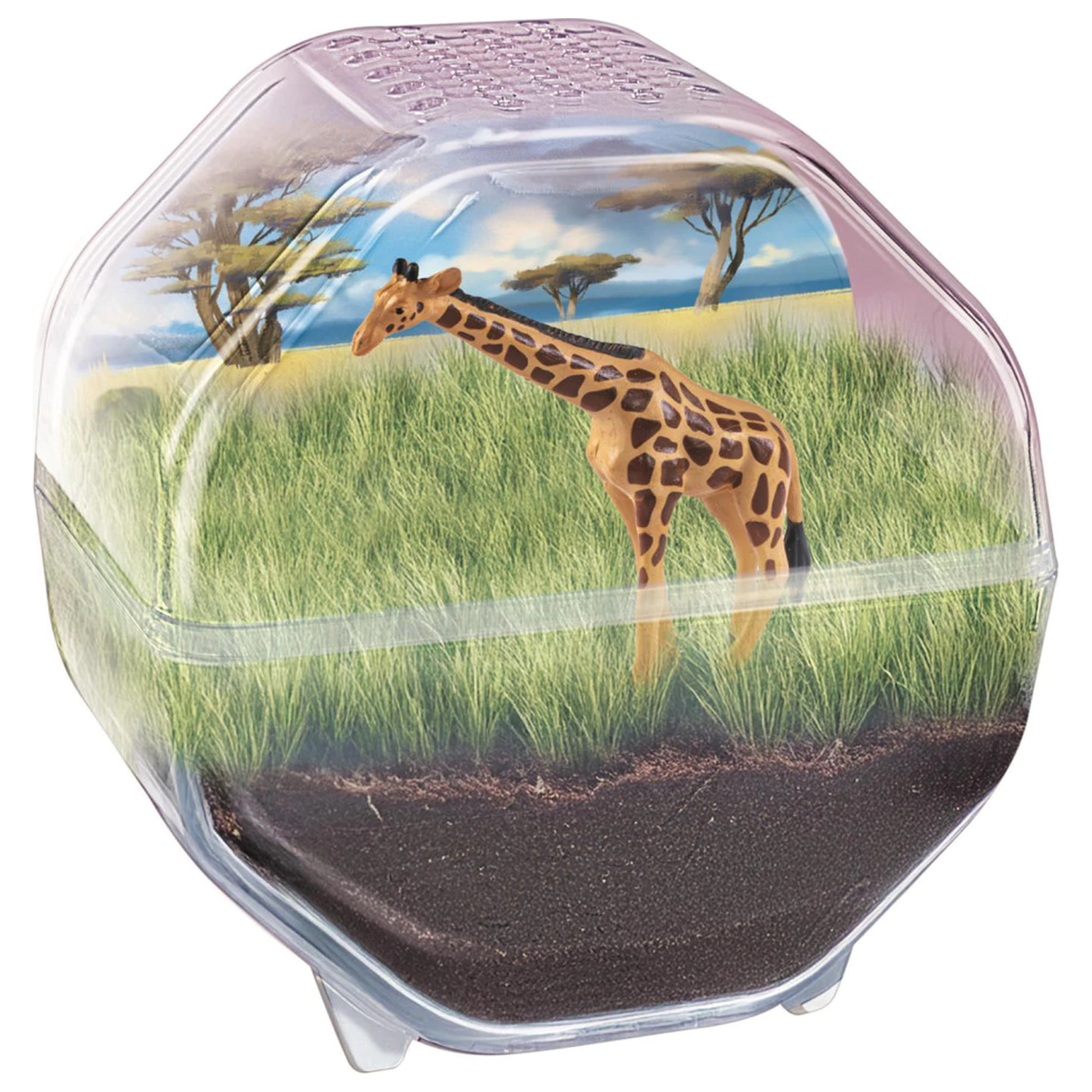 Mini Giraffe Terrarium Produktfoto
