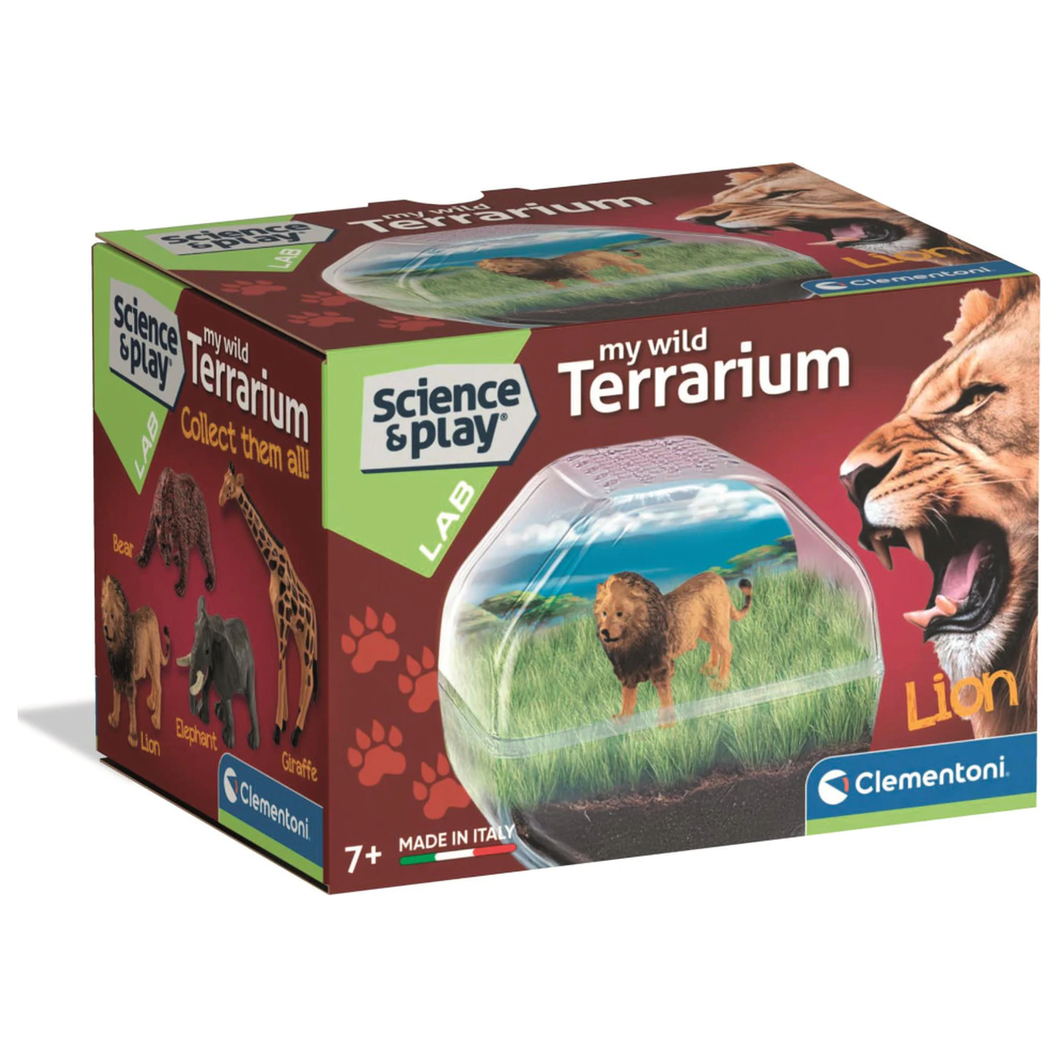 Mini Lion Terrarium Produktfoto