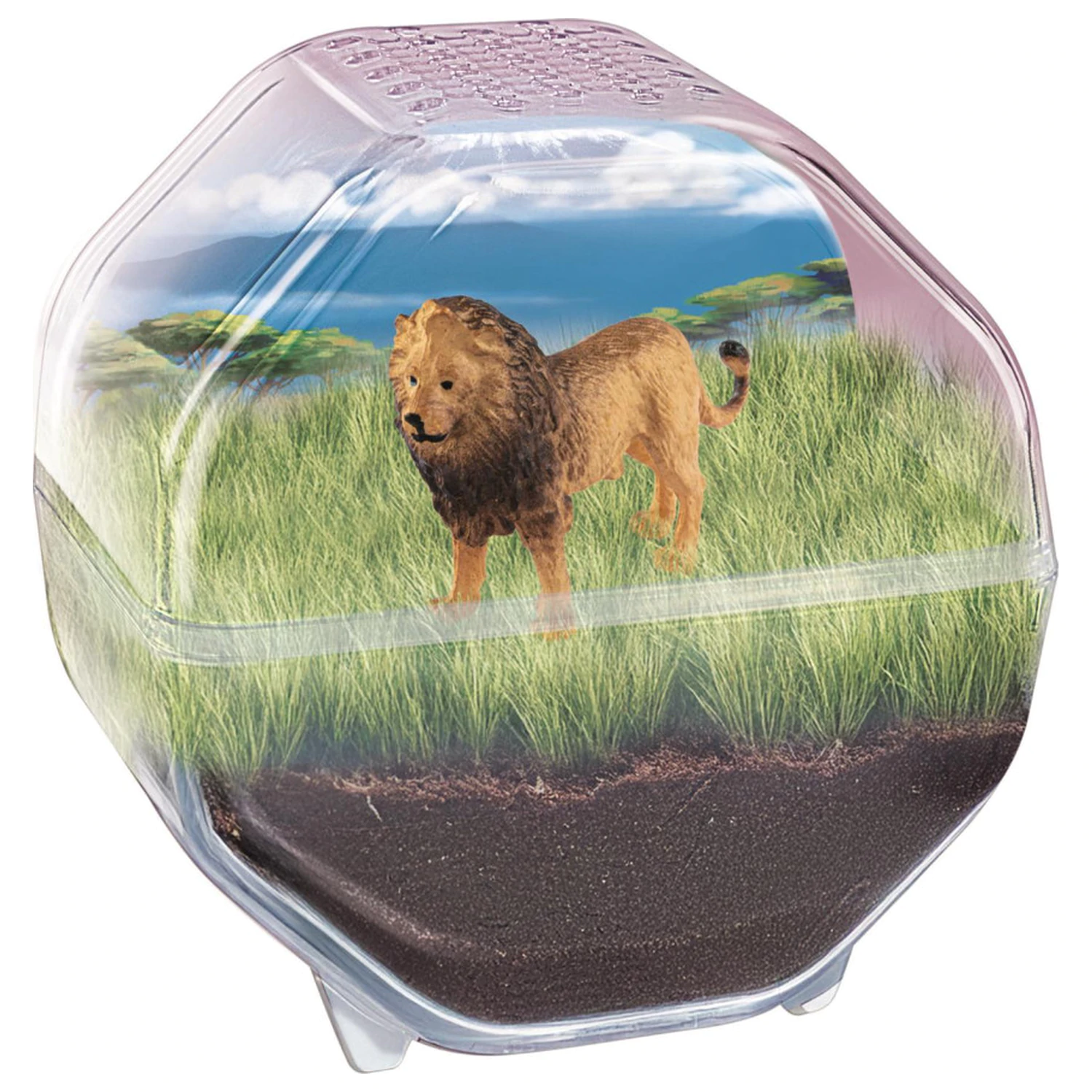 Mini Lion Terrarium Produktfoto