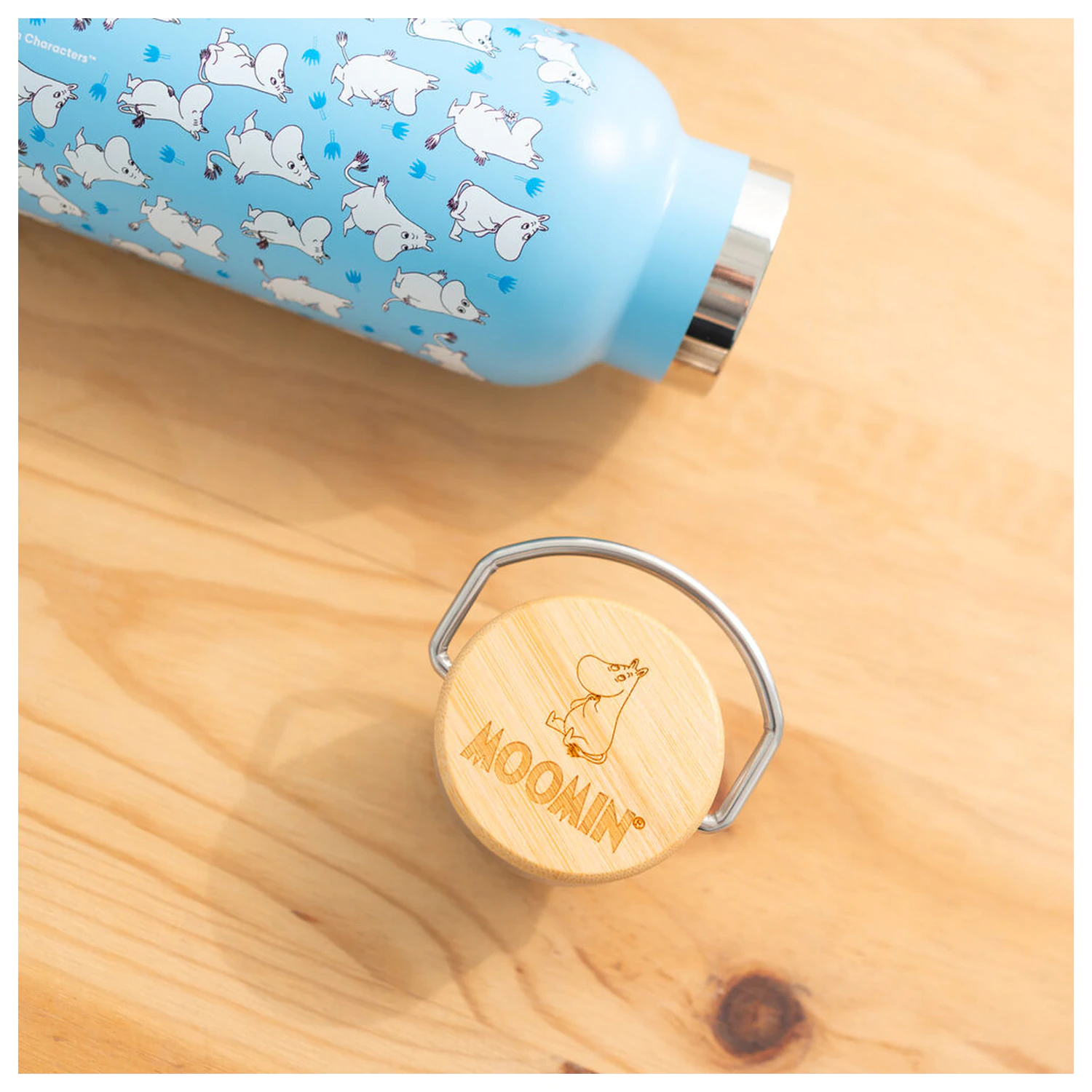 Moomin Edelstahlflasche 500 Milliliter Produktfoto