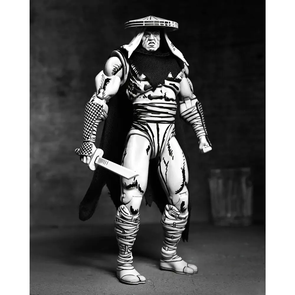 Ninja Turtles Teenage Mutant Foot Elite Assassin Black & White Figur 18 cm Produktfoto