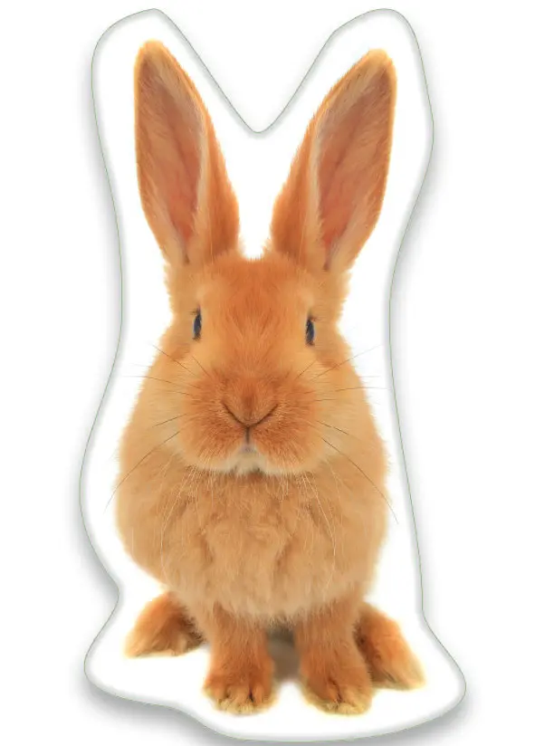 Hasenförmiges Dekokissen, 22*36 cm Produktfoto