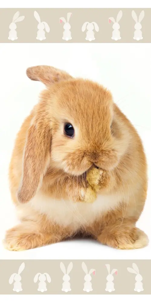 Bunny Badetuch, Strandtuch 70*140 cm Produktfoto