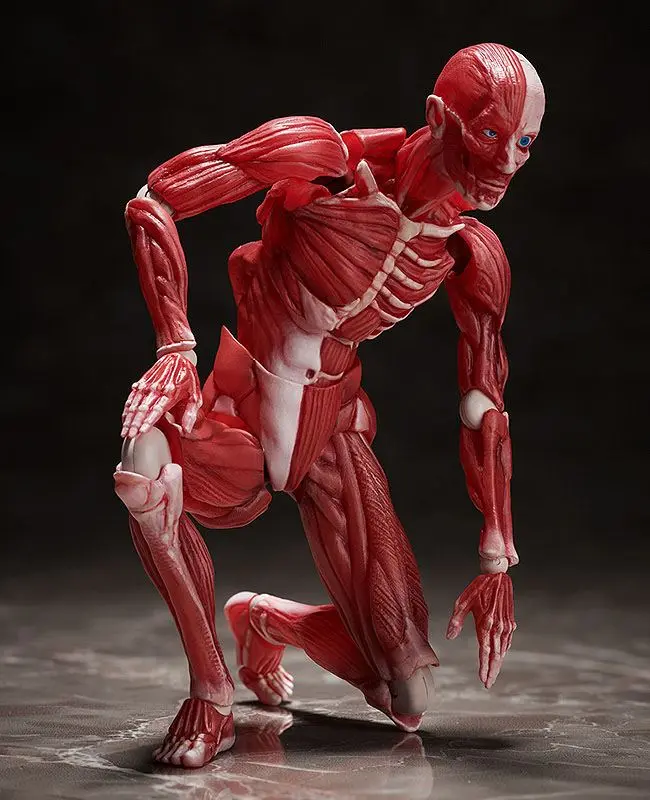Original Character Figma Actionfigur Human Anatomical Model 15 cm Produktfoto