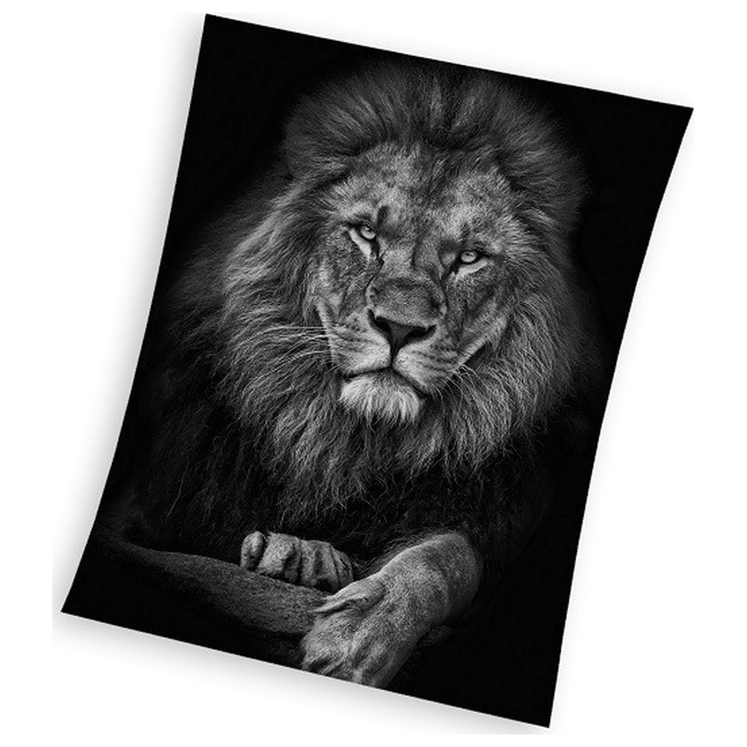 Lion Black Fleece Decke 150x200cm Produktfoto