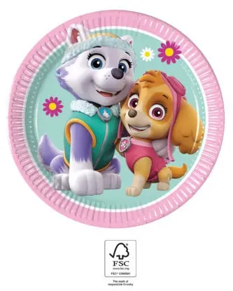 Paw Patrol Skye und Everest Pappteller 8 Stück 19.5 cm FSC Produktfoto