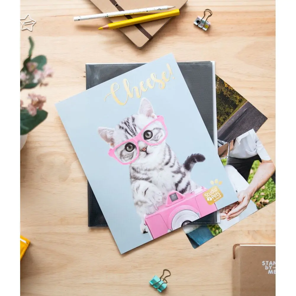 Pets Cat Tabby Fotoalbum Produktfoto