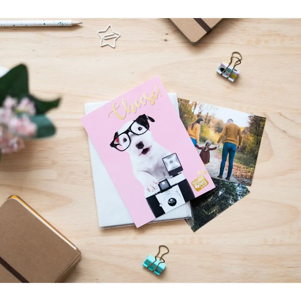 Pets Dog Charlie Fotoalbum Produktfoto