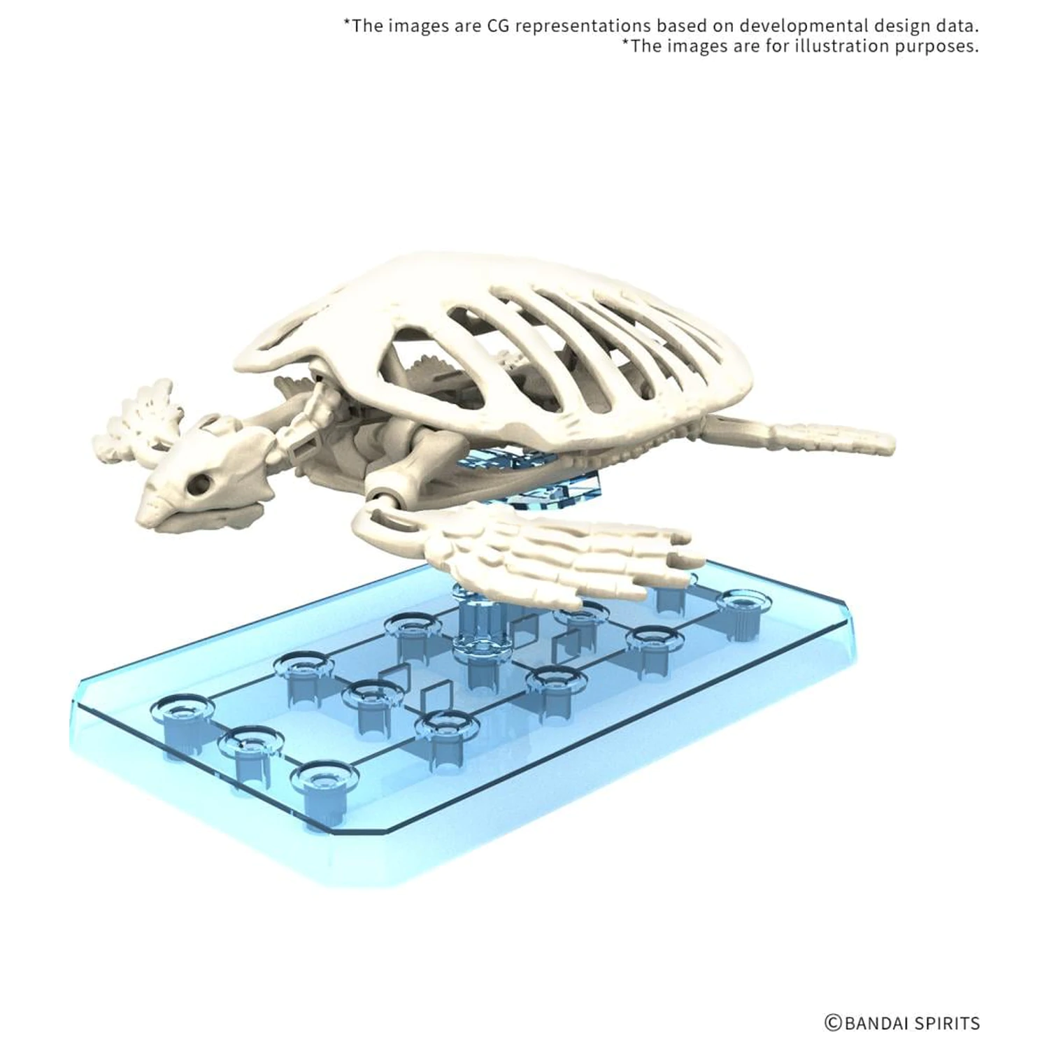 Plannosaurus Archelon Modellbausatz Produktfoto