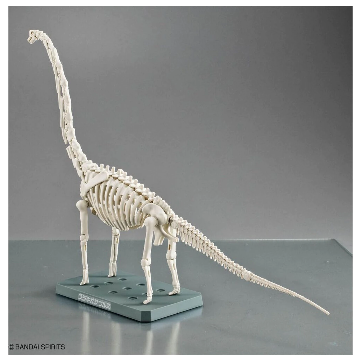 Modelbausatz Plannosaurus Brachiosaurus Produktfoto