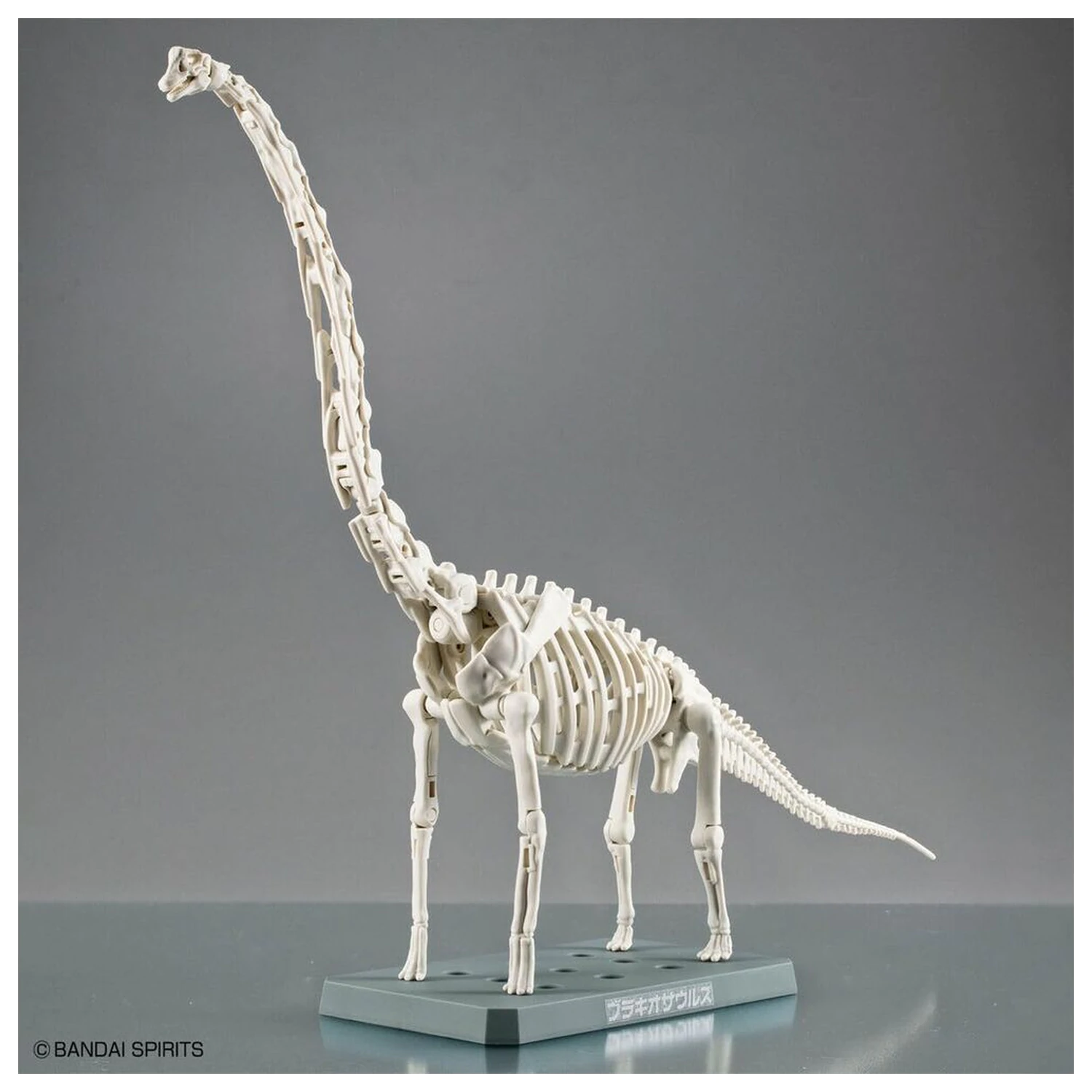 Modelbausatz Plannosaurus Brachiosaurus Produktfoto