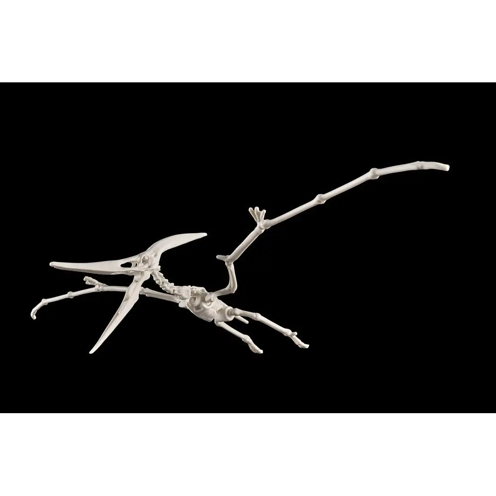Plannosaurus Pteranodon Modellbausatz Figur Produktfoto