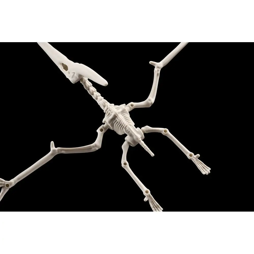 Plannosaurus Pteranodon Modellbausatz Figur Produktfoto