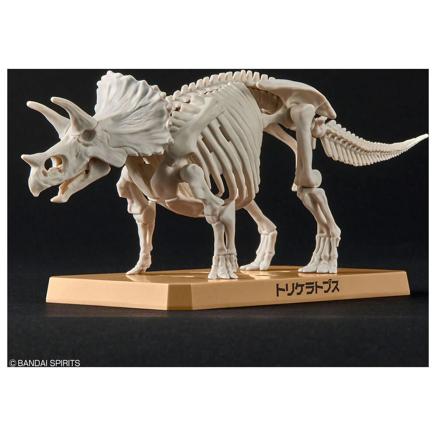 Model Bausatz Plannosaurus Triceratops Produktfoto