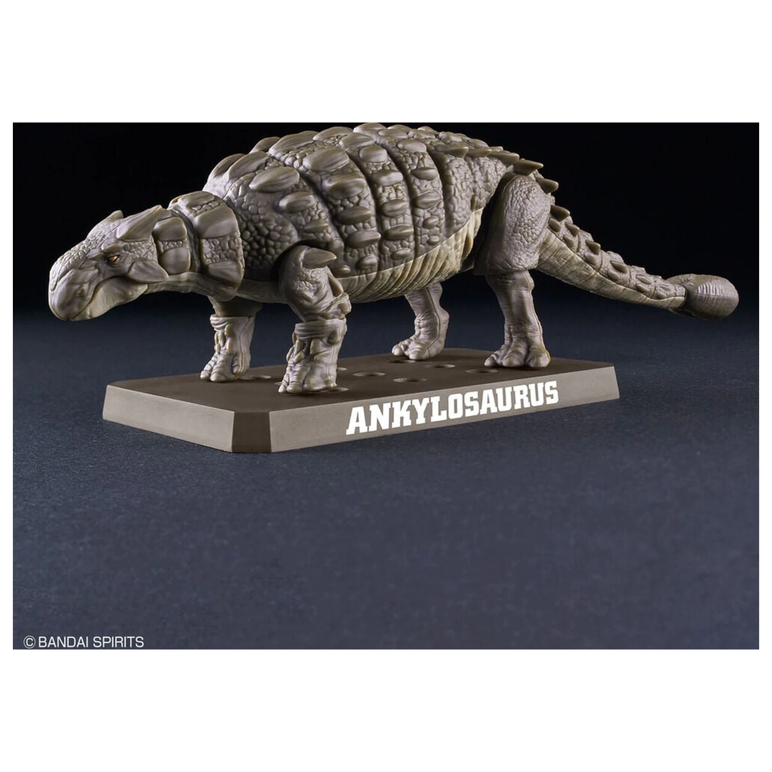 Planosaurus Ankylosaurus Modellbausatz Produktfoto