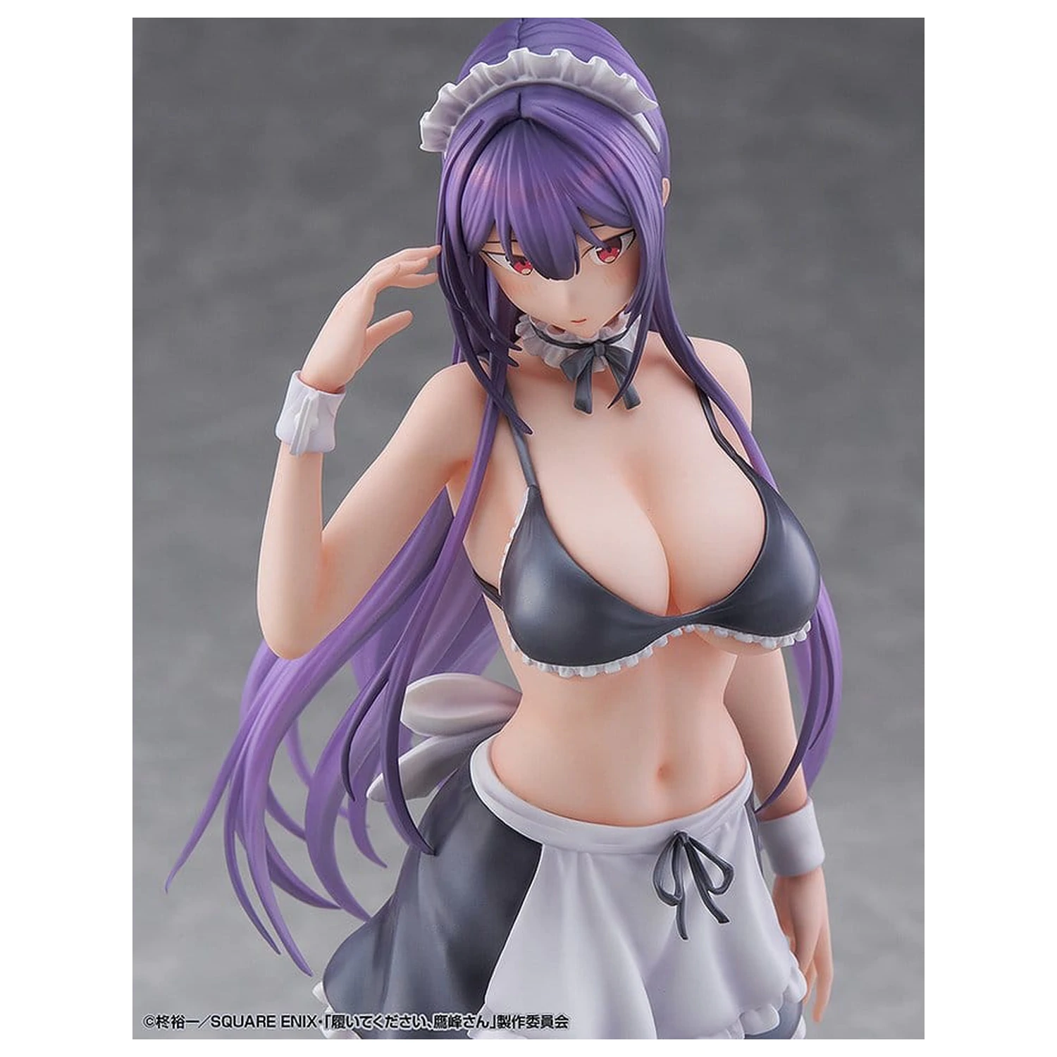 "Please Put Them On, Takamine-san" PVC Figur 1/6 Takane Takamine 25 cm Produktfoto