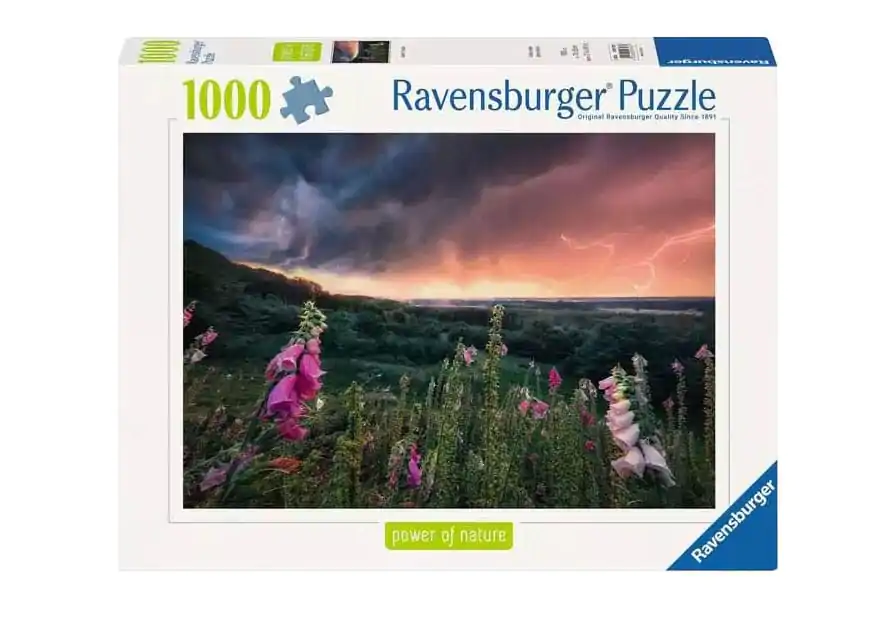 Power of Nature Puzzle Ein Sturm zieht auf (1000 Teile) Produktfoto