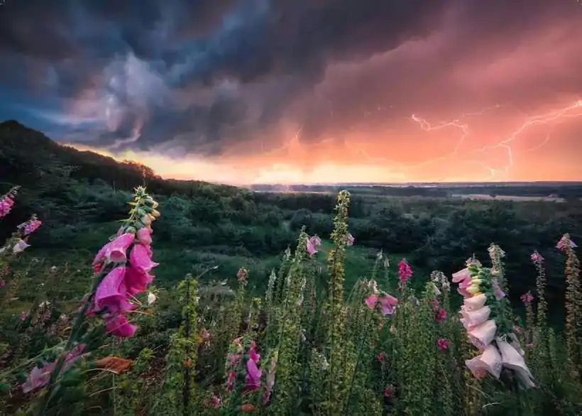 Power of Nature Puzzle Ein Sturm zieht auf (1000 Teile) Produktfoto