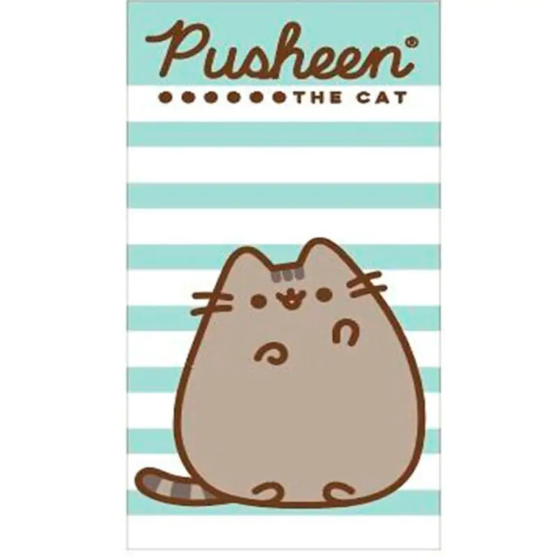Pusheen Microfaser Strandtuch Produktfoto