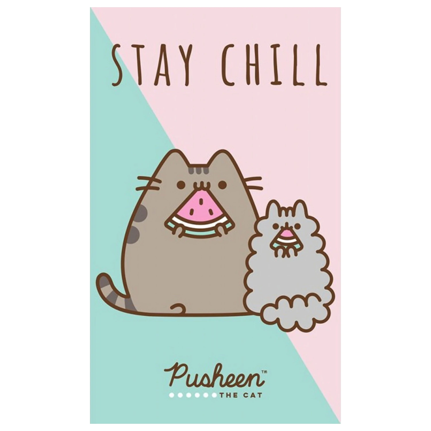 Pusheen Stay Chill Handtuch, Gesichtstuch Produktfoto