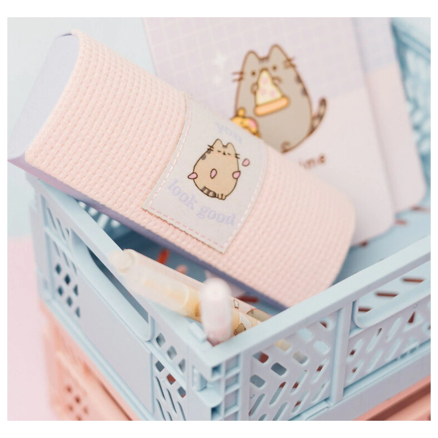 Pusheen Brillenetui Produktfoto