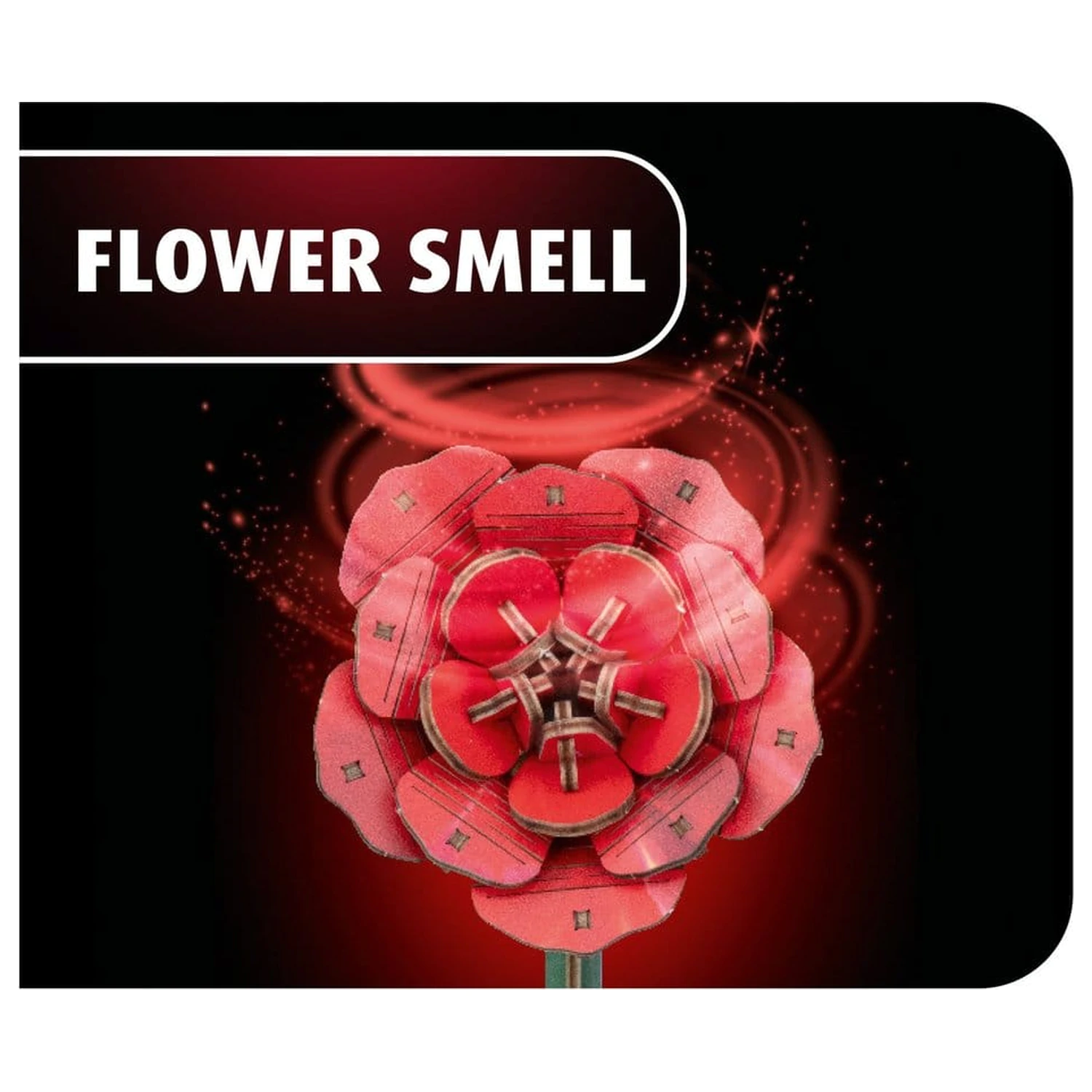 Revell Flowers Holzblumen Traum der Rosen 22 cm Produktfoto