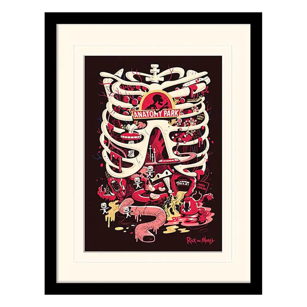 Rick and Morty Collector Print Poster im Rahmen Anatomy Park (white background) Produktfoto