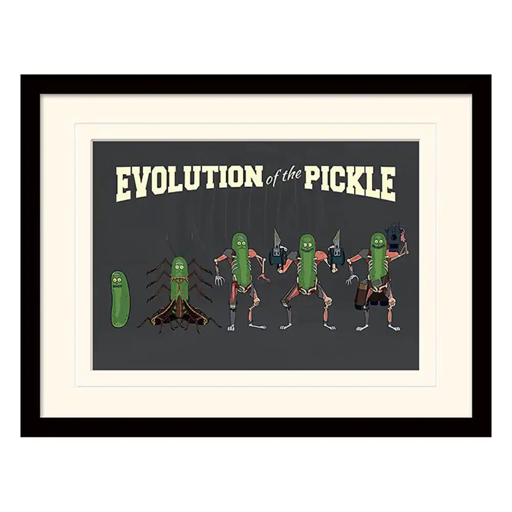 Rick and Morty Collector Print Poster im Rahmen Evolution of the Pickle (white background) Produktfoto