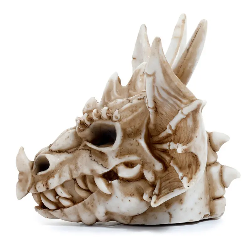 Shades of Darkness Dragon Skull Spardose Produktfoto