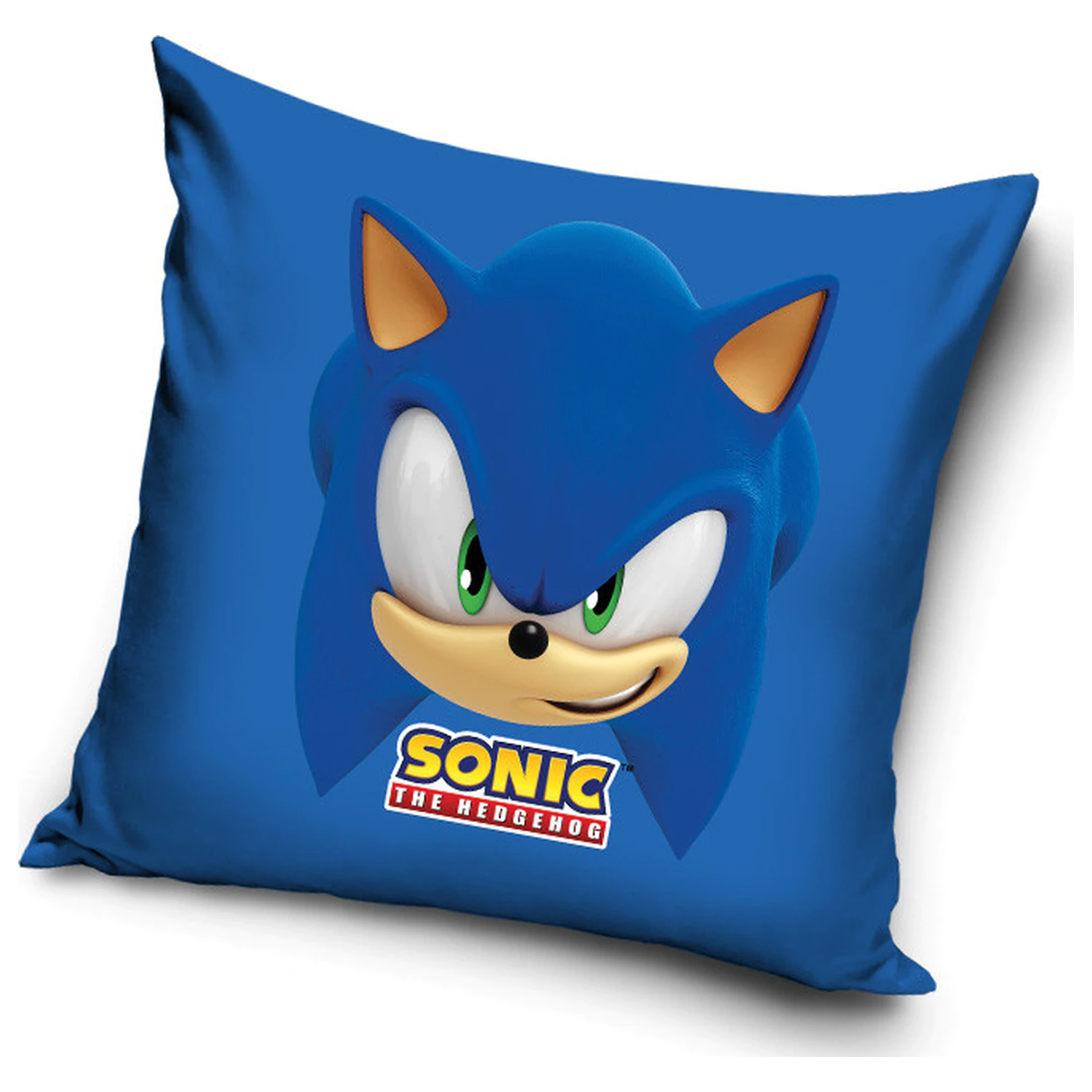 Sonic Blue Blur Kopfkissenbezug Produktfoto