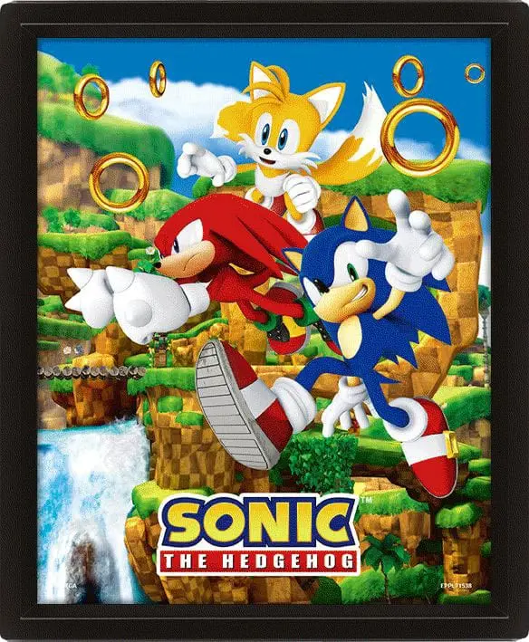 Sonic The Hedgehog 3D-Effekt Poster Catching Rings 26 x 20 cm termékfotó