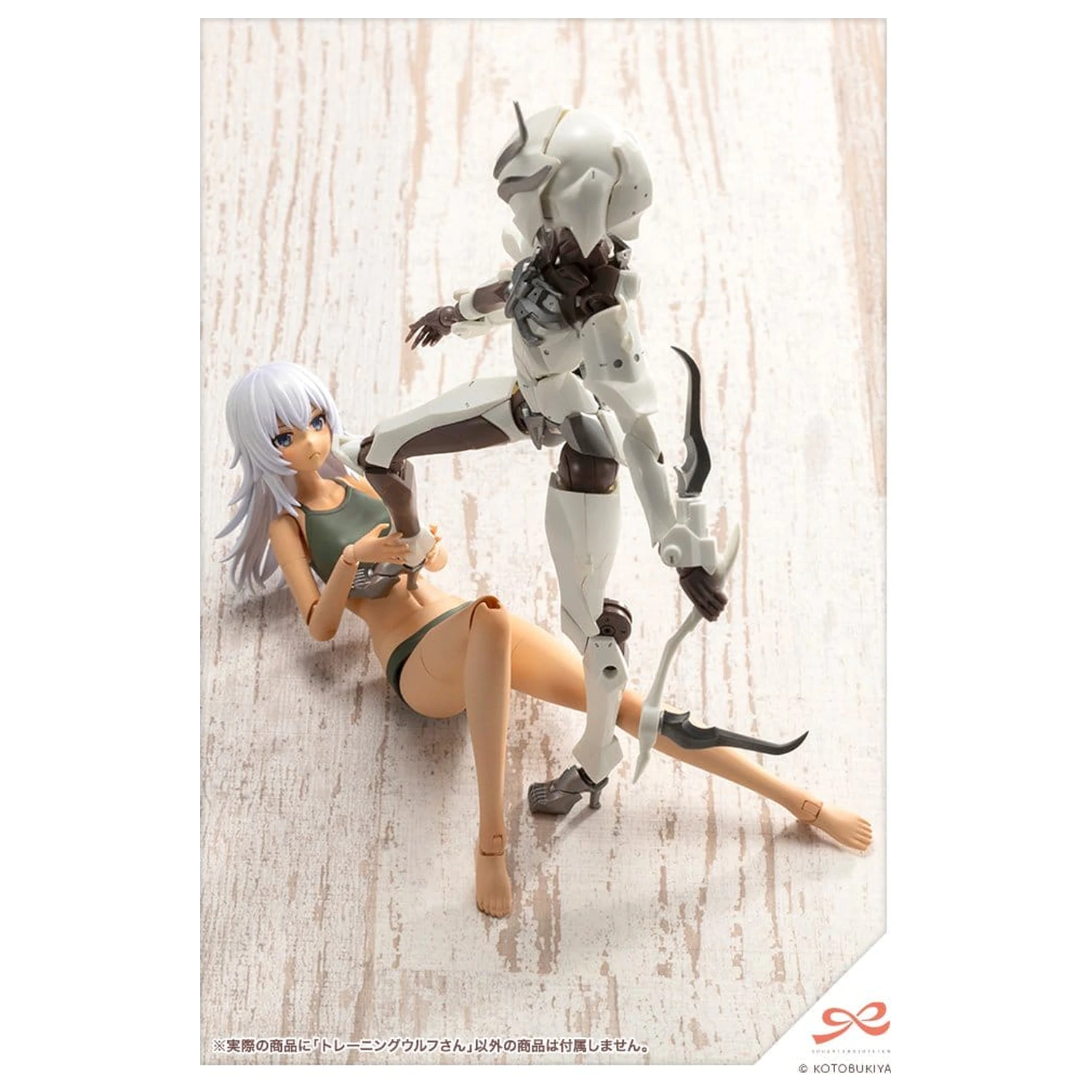 Sousai Shojo Teien Plastic Modellbausatz 1/10 Training Wolf 16 cm Produktfoto