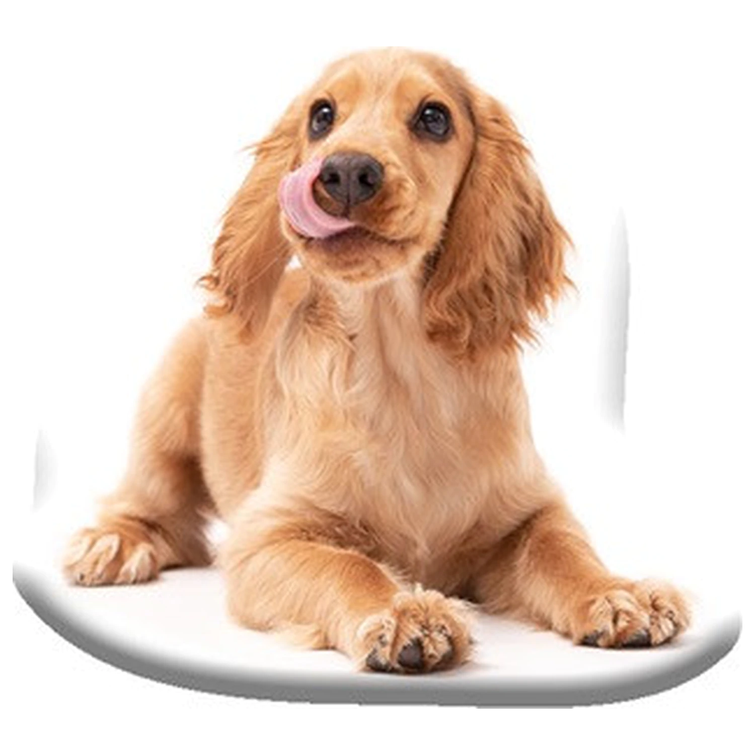 Spaniel förmiges Kissen Produktfoto