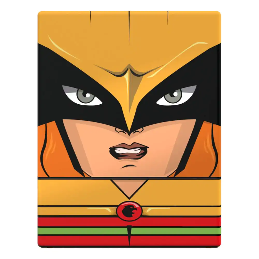 Squaroes - Squaroe DC Justice League™ JL012 - Hawkgirl™ Produktfoto