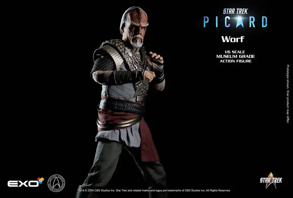 Star Trek: Picard Actionfigur 1/6 Worf 30 cm Produktfoto