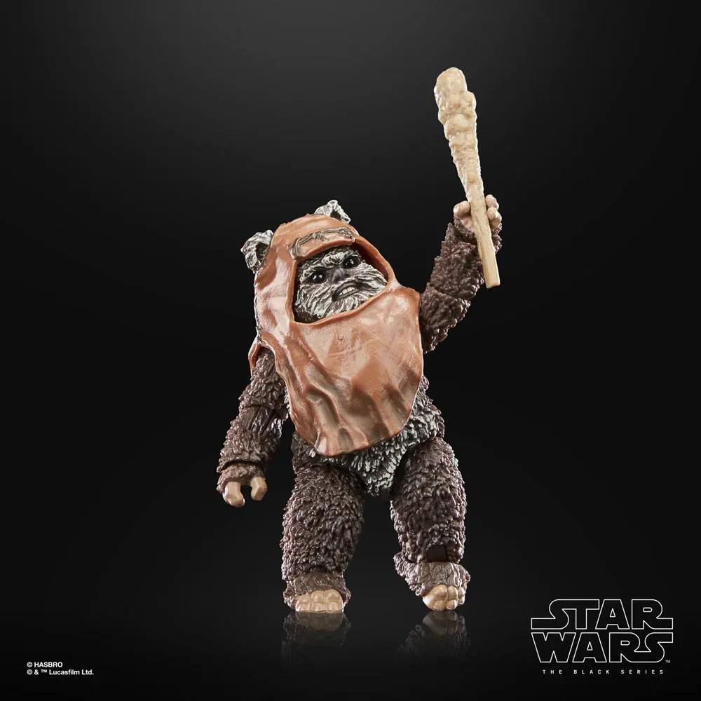 Star Wars Episode VI 40th Anniversary Black Series Actionfigur Wicket 15 cm Produktfoto