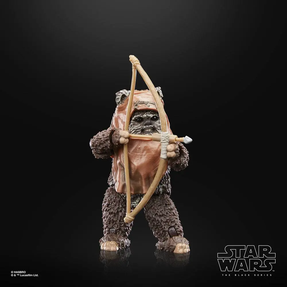 Star Wars Episode VI 40th Anniversary Black Series Actionfigur Wicket 15 cm Produktfoto