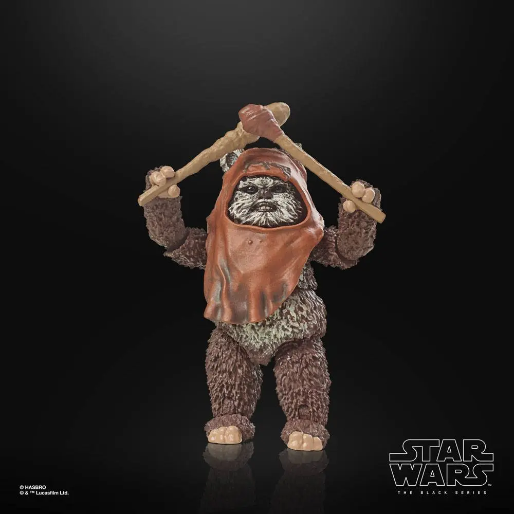 Star Wars Episode VI 40th Anniversary Black Series Actionfigur Wicket 15 cm Produktfoto