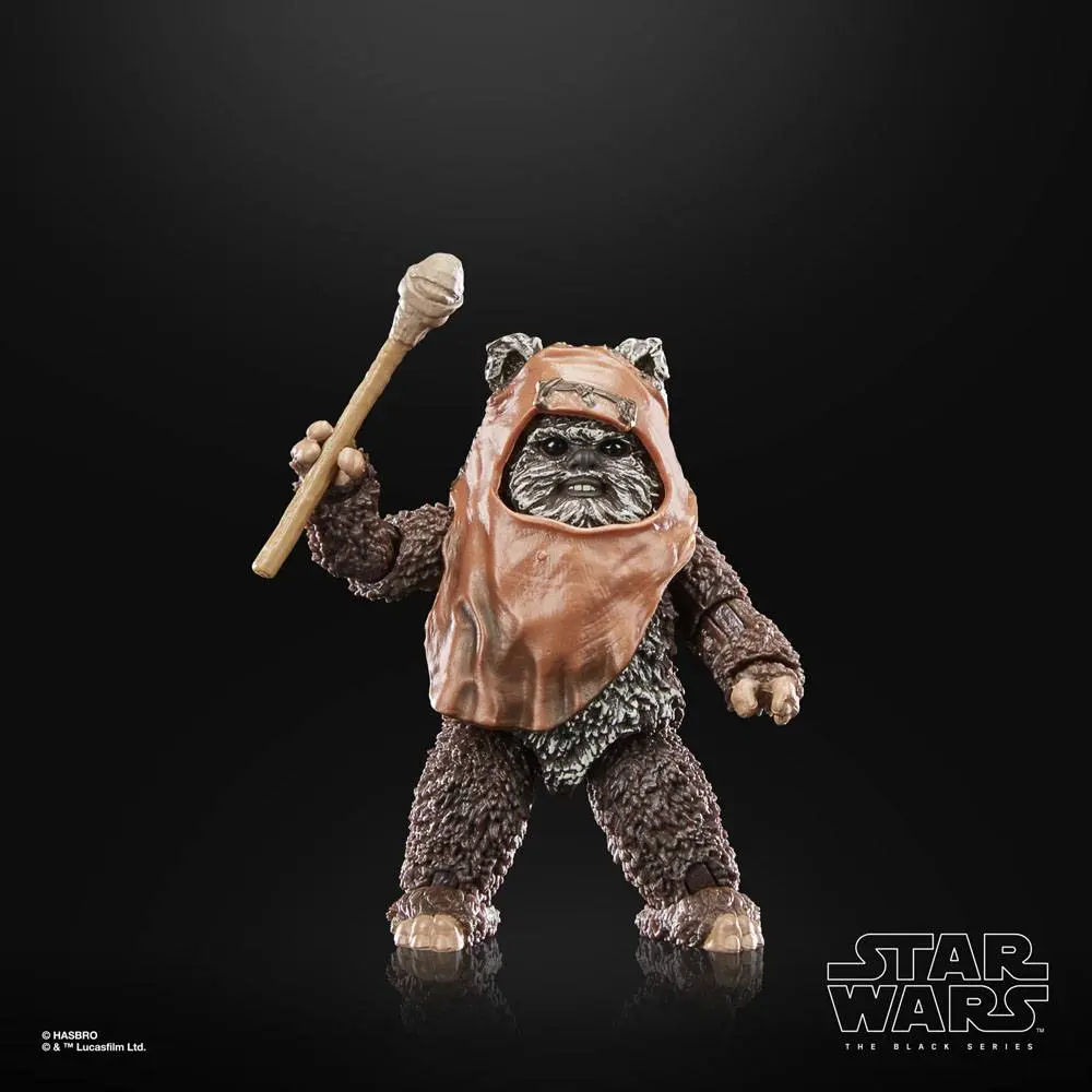 Star Wars Episode VI 40th Anniversary Black Series Actionfigur Wicket 15 cm Produktfoto