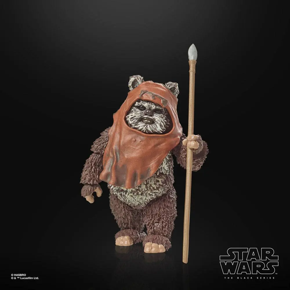 Star Wars Episode VI 40th Anniversary Black Series Actionfigur Wicket 15 cm Produktfoto