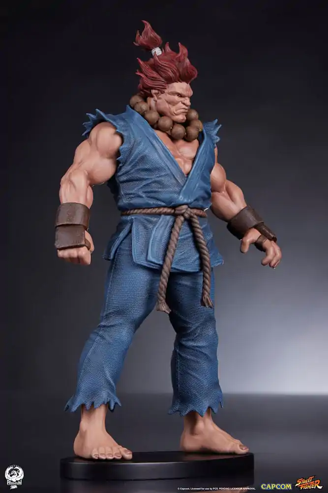 Street Fighter PVC Statuen 1/10 Akuma & Dhalsim 21 cm termékfotó