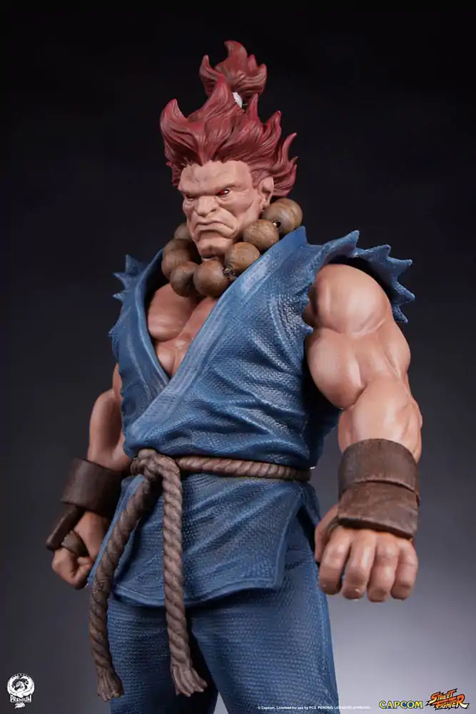 Street Fighter PVC Statuen 1/10 Akuma & Dhalsim 21 cm termékfotó