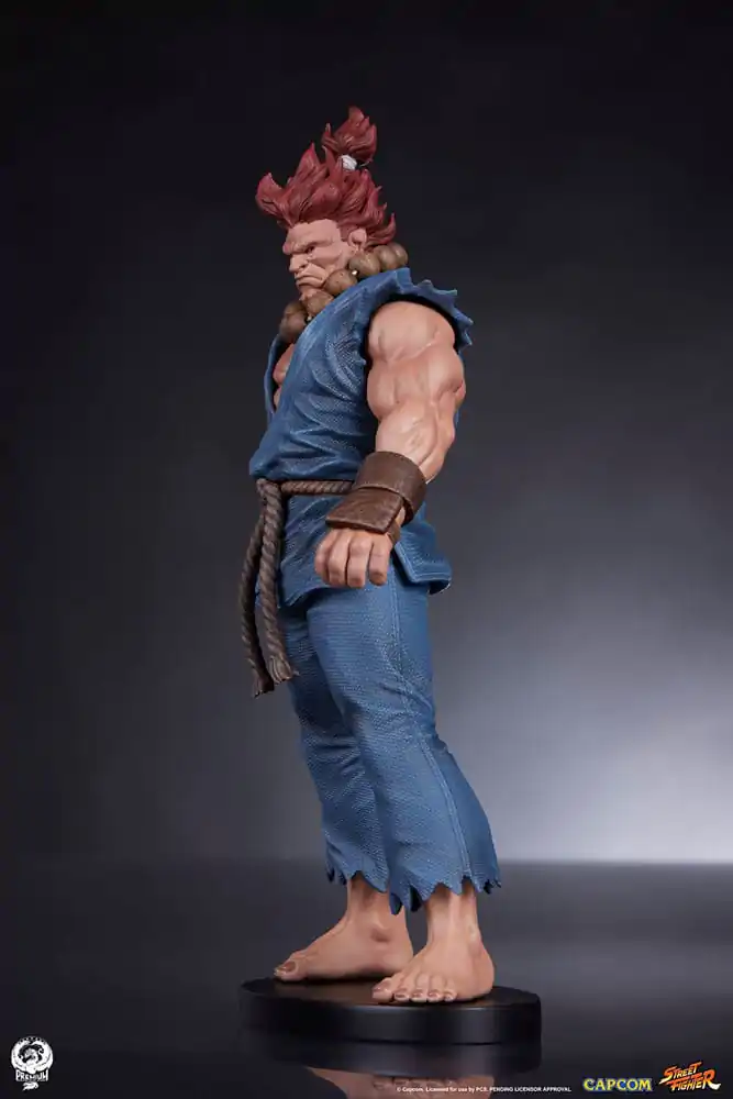 Street Fighter PVC Statuen 1/10 Akuma & Dhalsim 21 cm termékfotó