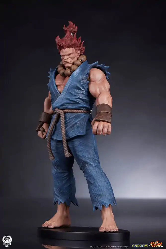 Street Fighter PVC Statuen 1/10 Akuma & Dhalsim 21 cm termékfotó