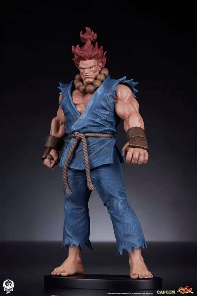 Street Fighter PVC Statuen 1/10 Akuma & Dhalsim 21 cm termékfotó