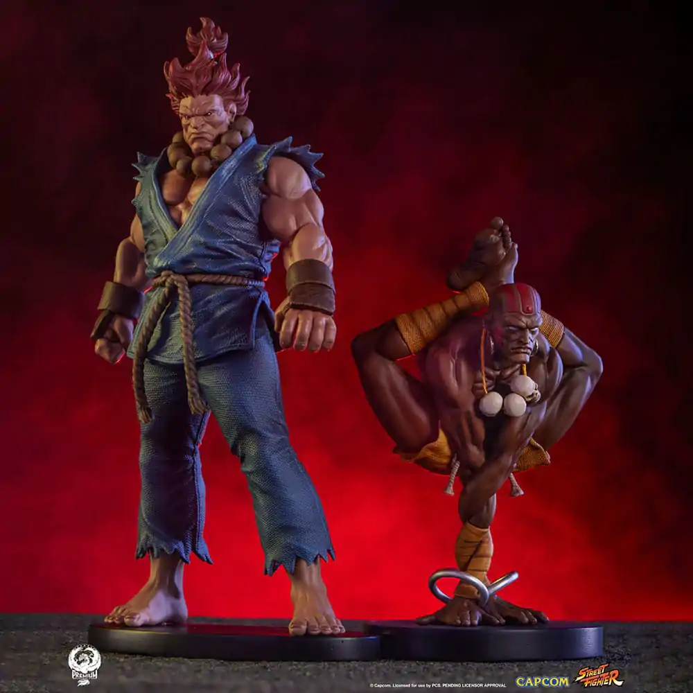 Street Fighter PVC Statuen 1/10 Akuma & Dhalsim 21 cm termékfotó